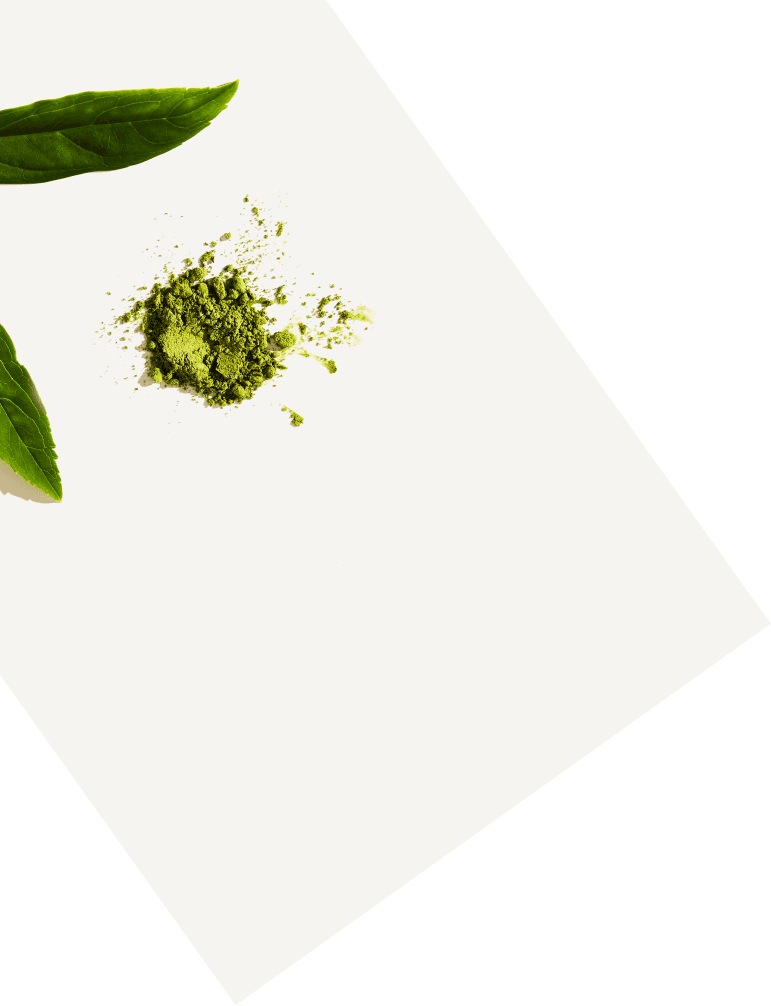 Green tea powder