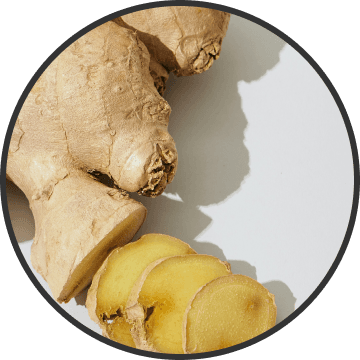 GINGER ROOT