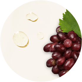 Grape Seed Extract